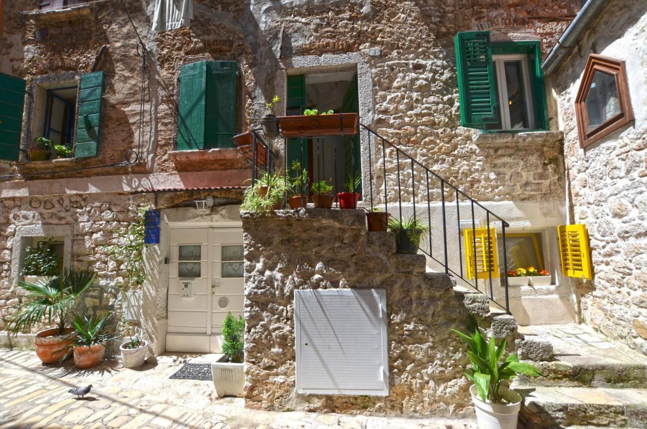Pisinium * Rovinj